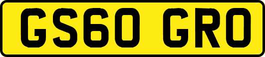 GS60GRO