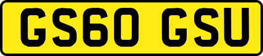 GS60GSU