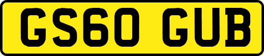 GS60GUB