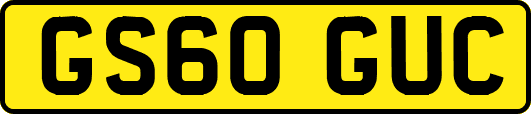 GS60GUC