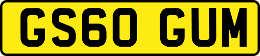 GS60GUM
