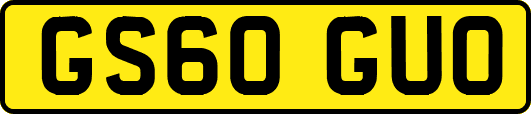 GS60GUO