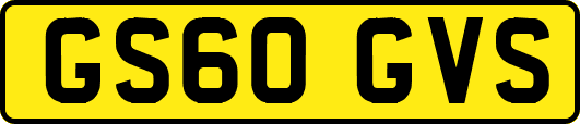 GS60GVS