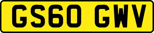 GS60GWV