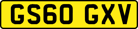 GS60GXV