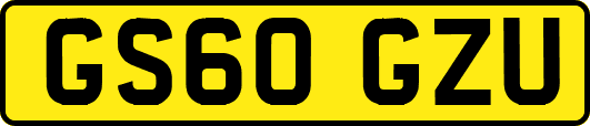 GS60GZU