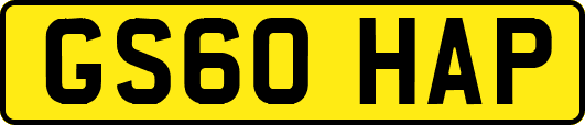 GS60HAP