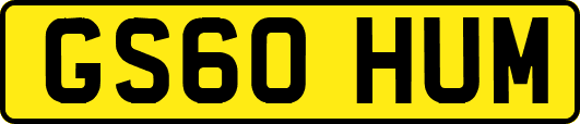 GS60HUM