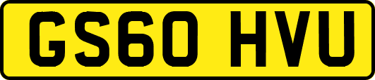 GS60HVU