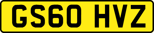 GS60HVZ