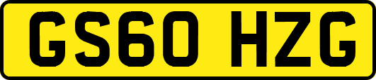 GS60HZG