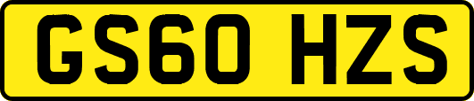 GS60HZS