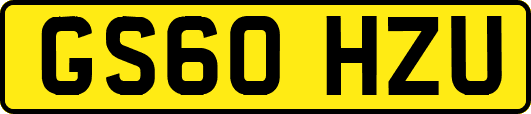 GS60HZU