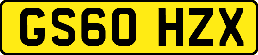 GS60HZX
