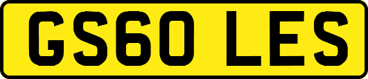 GS60LES