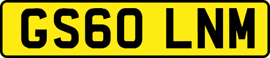 GS60LNM