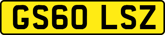 GS60LSZ