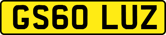 GS60LUZ