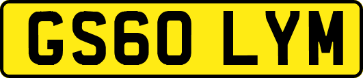 GS60LYM
