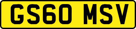 GS60MSV