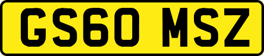 GS60MSZ