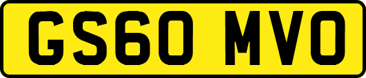GS60MVO
