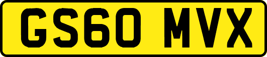 GS60MVX