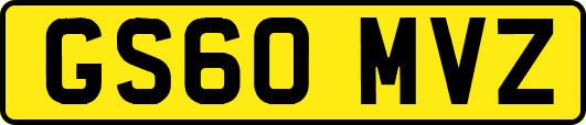 GS60MVZ