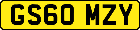 GS60MZY