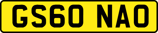 GS60NAO