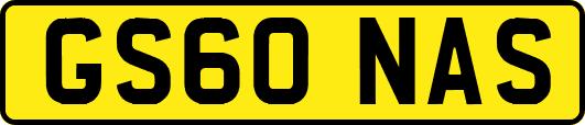 GS60NAS