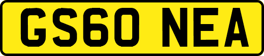 GS60NEA