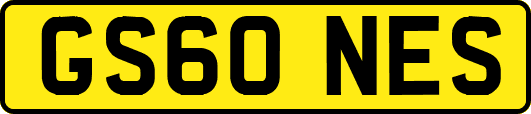 GS60NES