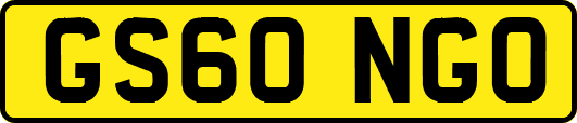 GS60NGO
