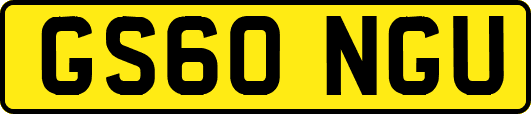 GS60NGU