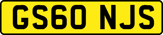GS60NJS