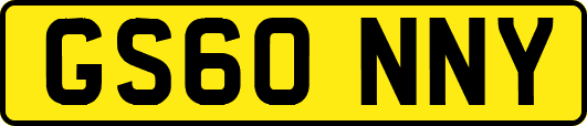 GS60NNY