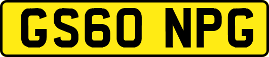 GS60NPG