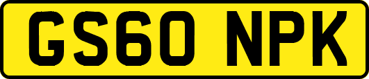 GS60NPK