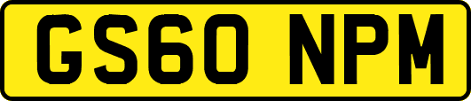 GS60NPM