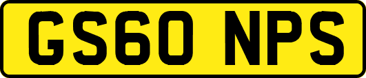 GS60NPS