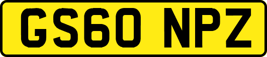 GS60NPZ