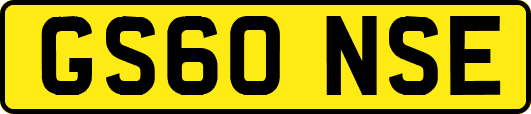 GS60NSE