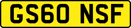 GS60NSF