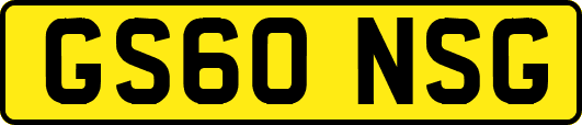 GS60NSG