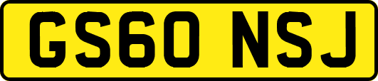 GS60NSJ