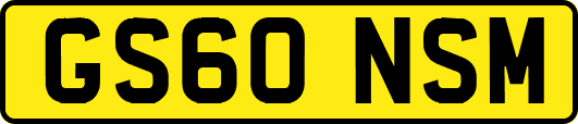GS60NSM