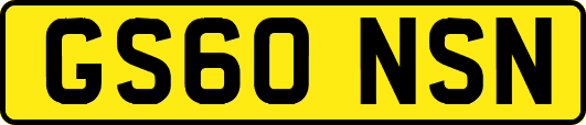 GS60NSN
