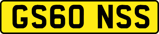 GS60NSS
