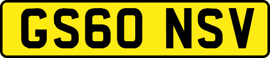 GS60NSV